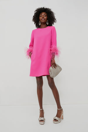 Hot Pink Feather Mod Mary Dress
