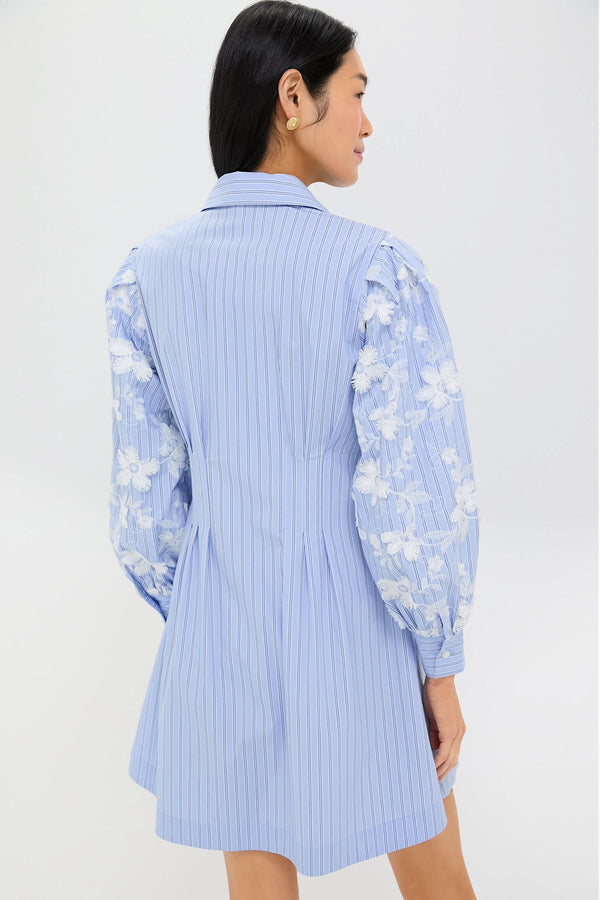 Blue Stripe Embroidery Genevieve Mini Dress
