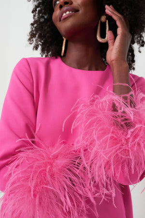 Hot Pink Feather Mod Mary Dress