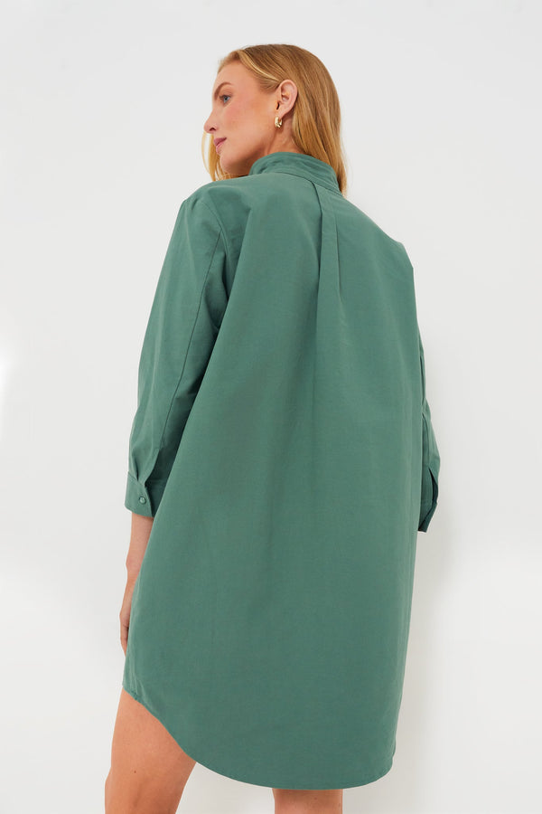 Green Polly Dress