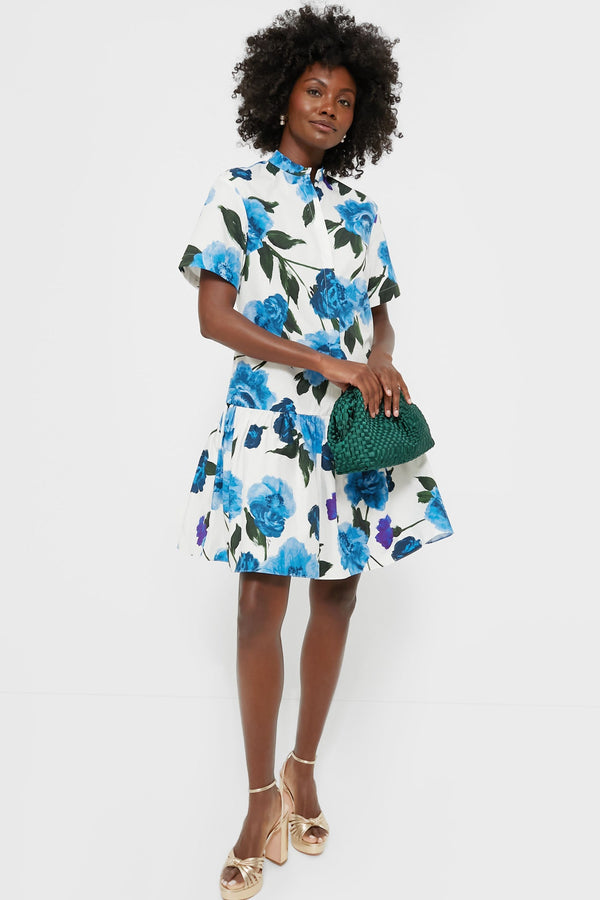 White and Blue Short Sleeve Button Down Mini Dress