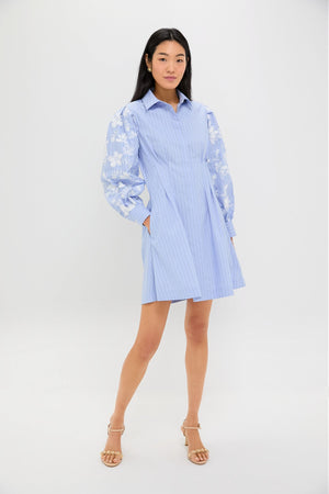 Blue Stripe Embroidery Genevieve Mini Dress