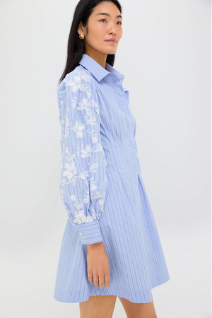 Blue Stripe Embroidery Genevieve Mini Dress